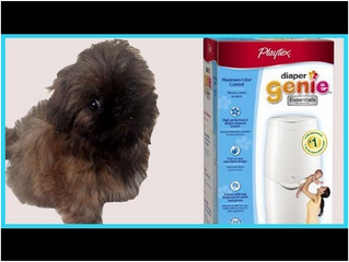 DOGS! AND CATS! AND BABIES! OH MY…