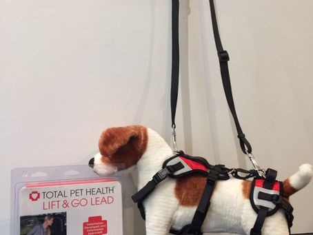 カルビン&スージー・歩行補助ハーネス