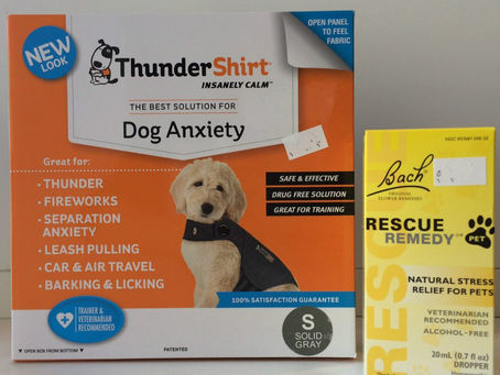 カルビン&スージー・不安症の子に