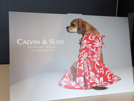 カルビン&スージー・美しいモデルたち - 4