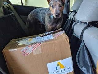 Donating to Animals & People Displaced by the Big Island Eruption