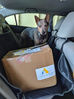 Donating to Animals & People Displaced by the Big Island Eruption