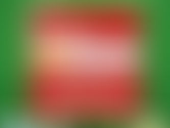 カルビン&スージー・オリジナル服・本日12/18セール詳細