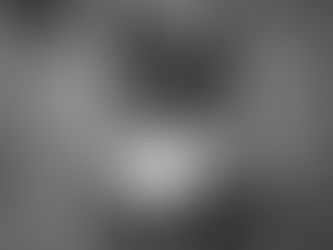 TIPS FOR KEEPING YOUR SENIOR PET HAPPY AND HEALTHY