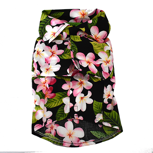 Thumbnail: Black Plumeria 6