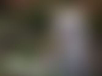 Calvin&Susie アロハバンダナ Erikaちゃん