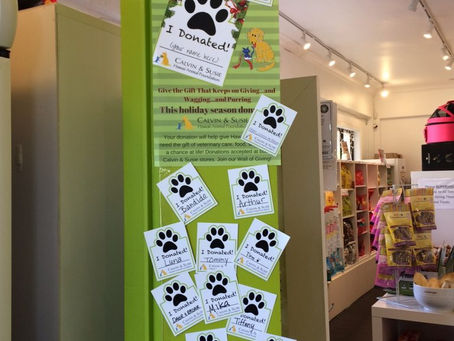 CSHAF動物愛護団体より・Happy Holidays!