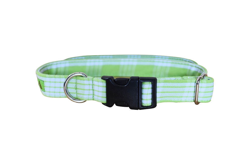 Thumbnail: Palaka Lime Collar & Leash