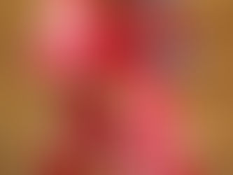 カルビン&スージー・新アロハシャツ柄入荷