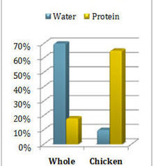 WHAT MAKES A GOOD “MEAL”: WHAT IS MEAL IN PET FOOD?