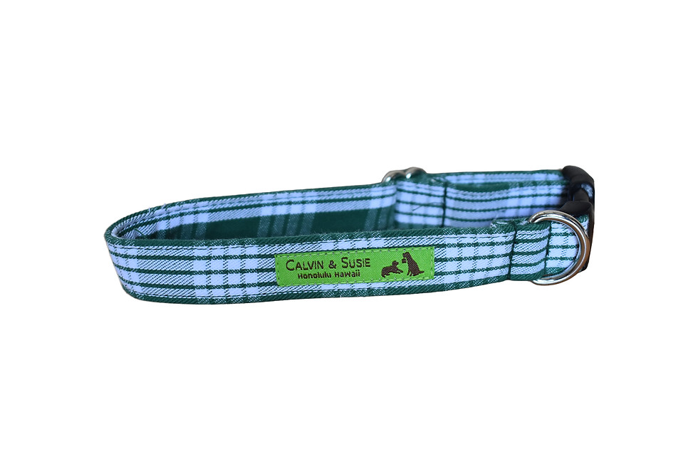 Thumbnail: Palaka Green Collar & Leash