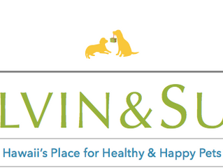 CALVIN & SUSIE INAUGURAL NEWSLETTER!