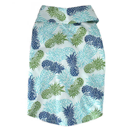 Thumbnail: Turquoise Pineapple 2