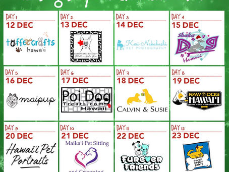 カルビン&スージー・オリジナル服・12月18日のみ大セール!