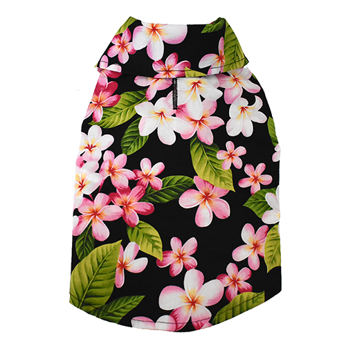 Thumbnail: Black Plumeria 6
