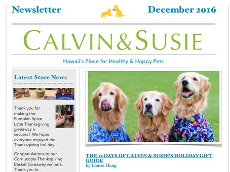 CALVIN & SUSIE DECEMBER NEWSLETTER
