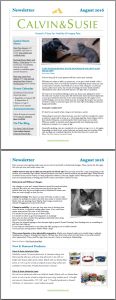 CALVIN & SUSIE AUGUST NEWSLETTER