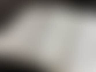 オンラインレッスンを受けました。