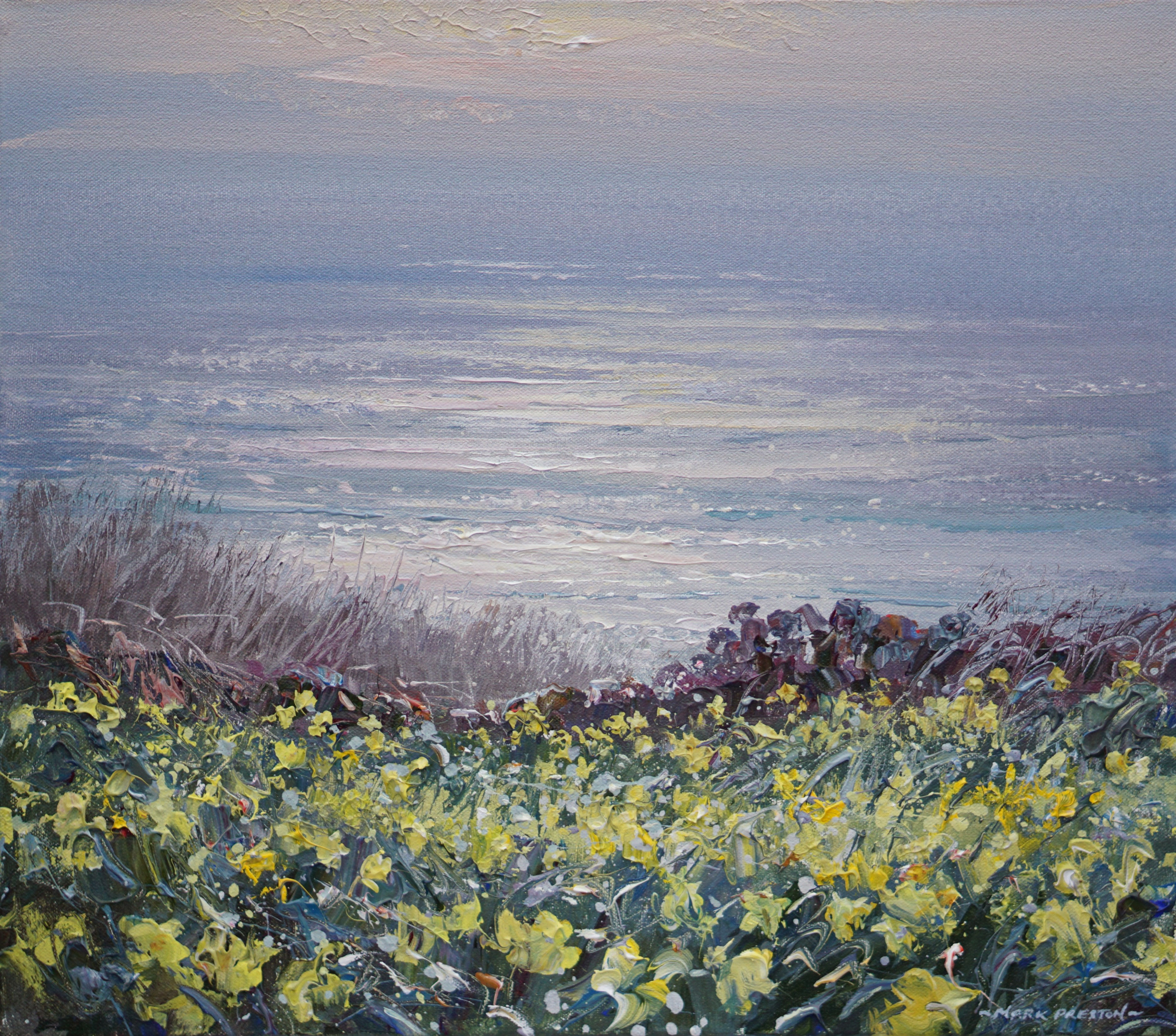 Spring Light and Daffodils, Sennen by Mark Preston