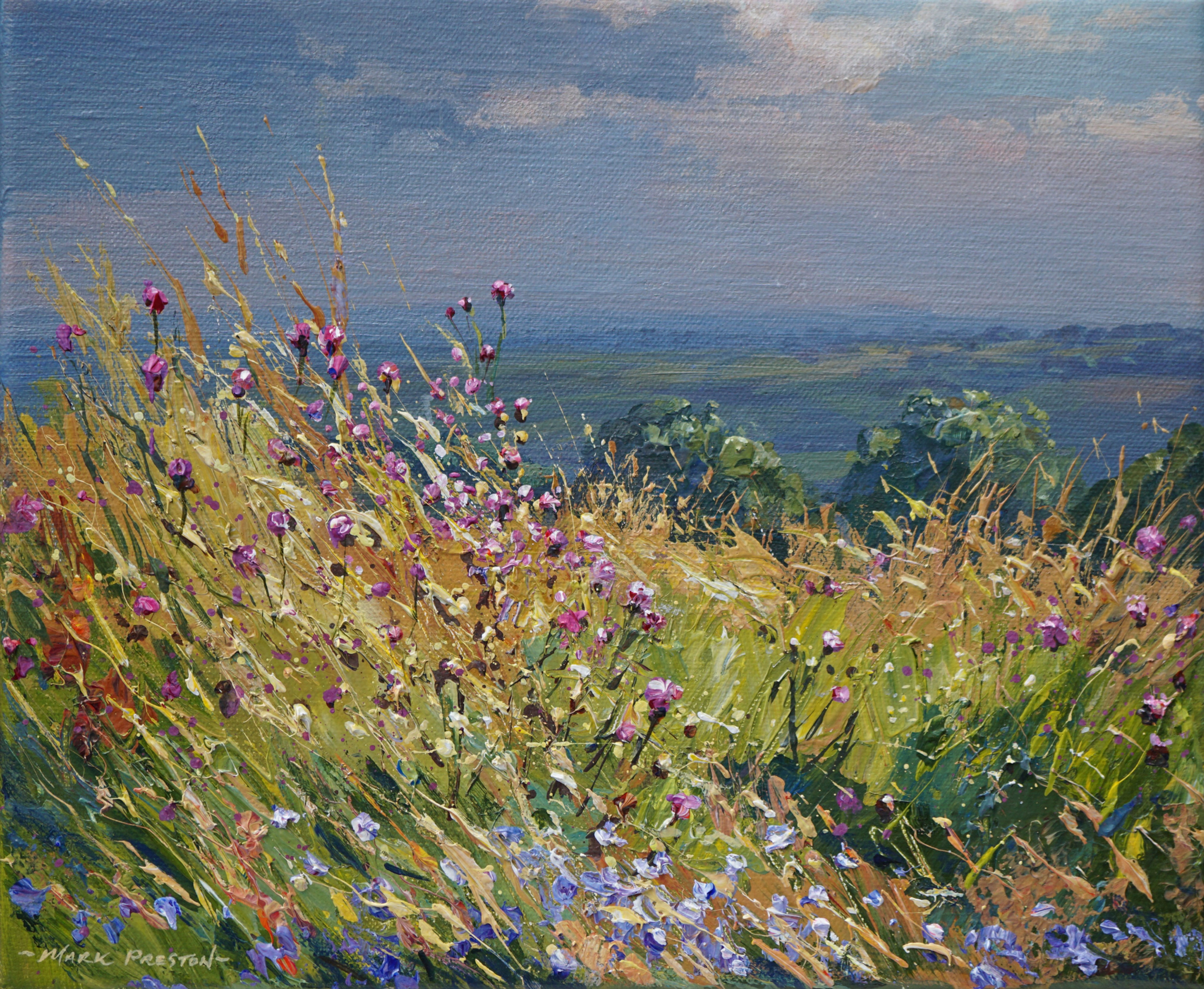 Sunlit Meadow Flowers, Ashleyhay by Mark Preston
