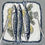 Thumbnail: Fishy on a Dishy by Jane Hooper