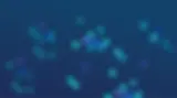 Logo-2.webp