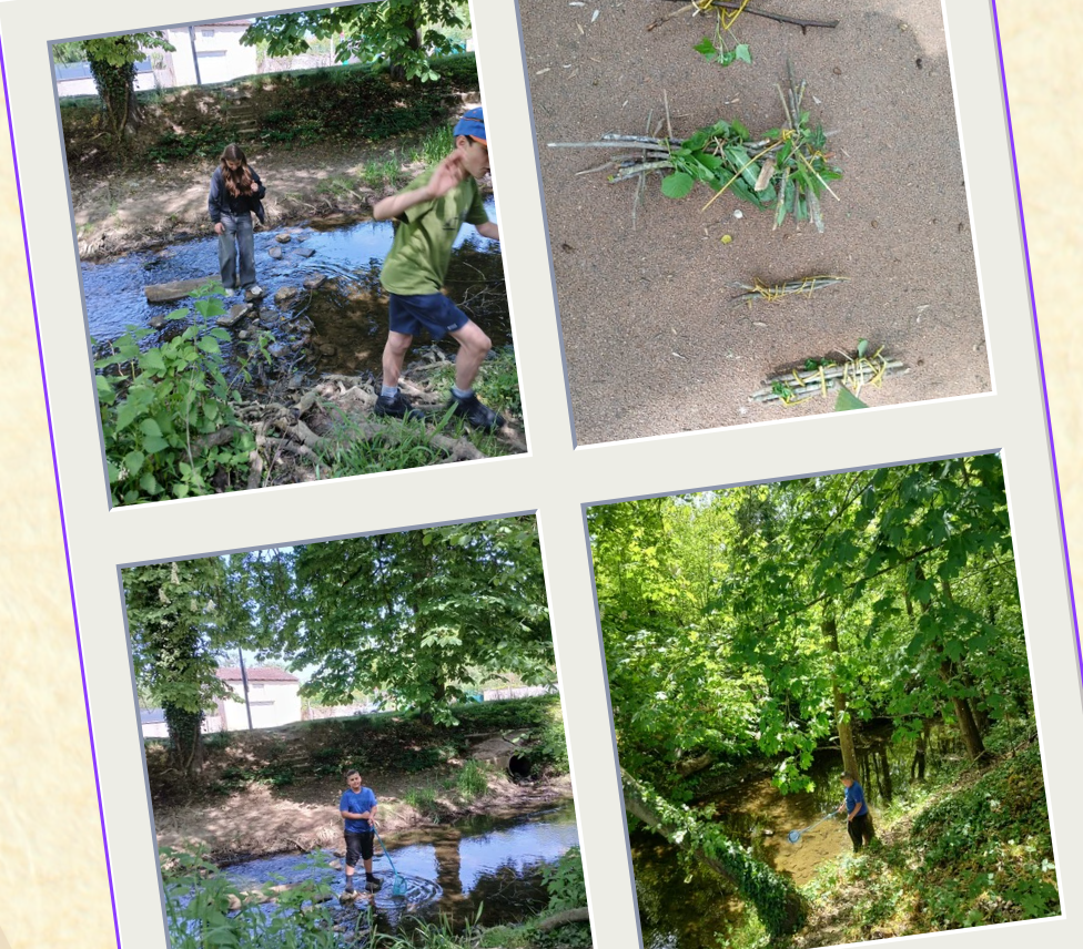 CLUB NATURE ADOS Les pelouses calcaires du Mont Saint Quentin