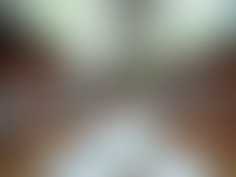 Mi az oka annak, hogy az iskolában még érti a matekot, de a dolgozata mégis csak 2-es lesz?