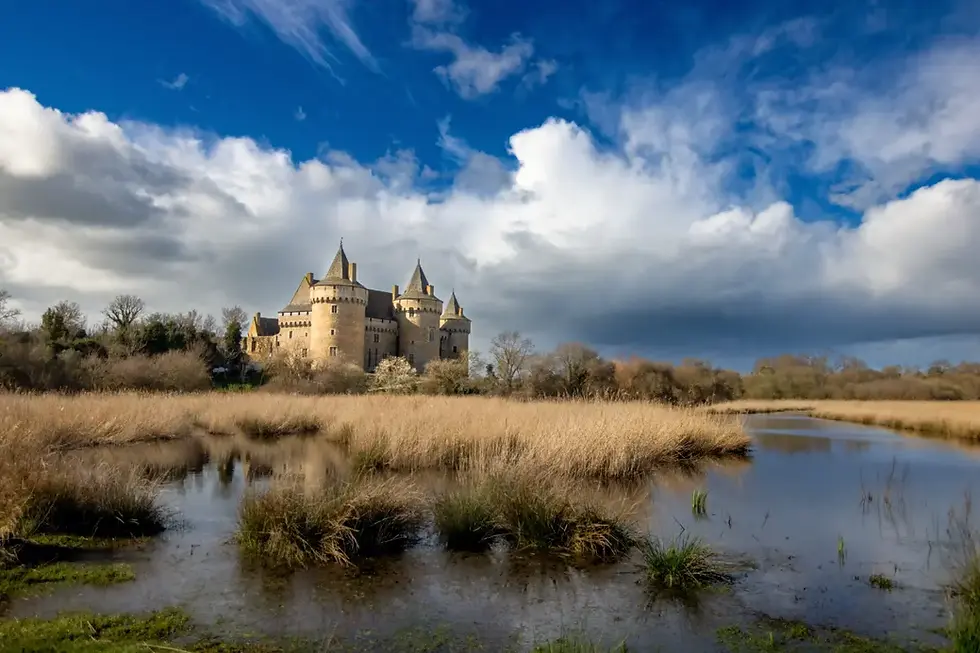 Château de Suscinio, dans le sud de la Bretagne, aperçu à travers des marais bordés de roseaux sous un ciel d’automne saisissant.