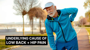 Chiropractor in Springfield, NJ treating low back and hip pain