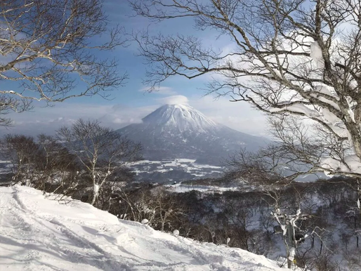【北海道飯店】擁有壯麗自然風光 被森林包圍的寧靜渡假酒店「東山二世谷村，麗思卡爾頓酒店」旅遊推薦必住飯店!!! 