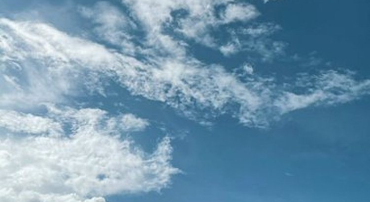 【花蓮新開幕】森林系旅店再+1 「丘丘‧森旅 Chu Resort 」坐落花蓮 2022/10月試營運!!!