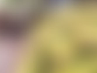 [新零售]10年後約20%的生鮮交易將在網路完成，掌握實體店與回購率將可稱霸上千億美金的生鮮電商市場