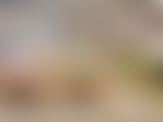 買菜也走極簡風:MUJI 蔬果市場開幕,將大自然的簡單樸實融入生活