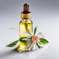 Bach Zoom Consultation £40