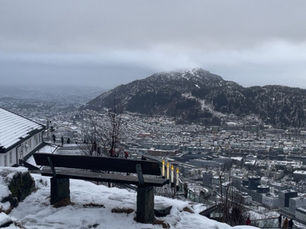 Here’s a short 7-day weather blog for Bergen with temperatures in °C and °F plus outfit tips for each day — perfect for locals and visitors alike! 🌨️❄️☀️