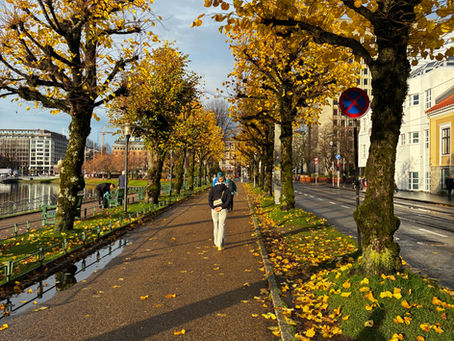 Weather blog‑forecast for the next 10days in Bergen, Norway (starting today, Sun Jan 18, 2026