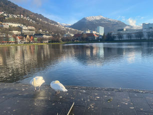 What to Wear in Bergen in August & September 🌦️