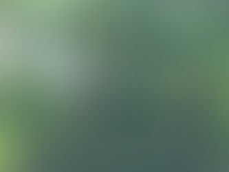 ICBC CAN HELP YOU REPAIR YOUR WINDSHIELD ROCK CHIP