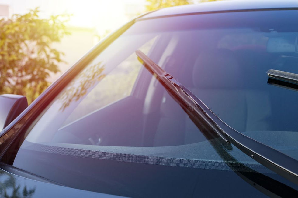 windshield
