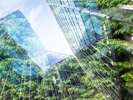 4 REASONS CANADIAN COMFORT WINDOWS & DOORS IS A TRUSTED SOURCE FOR ECO-FRIENDLY PRODUCTS