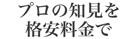 プロの知見.png