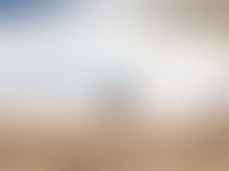 What is the Mind Body Connection?