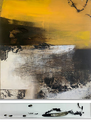 Mirage_mixed media on canvas and kelp in
