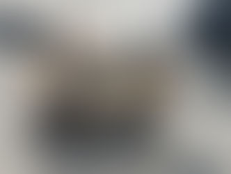 Para adoção ! machucou a patinha mais já está se recuperando !! alguém para adotar o Colúmbos?