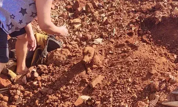 Acusado de enterrar cachorro vivo às margens de rodovia passa por audiência