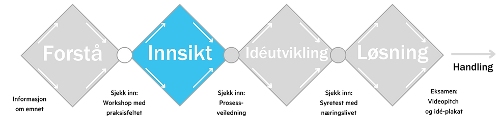Fase 2 HelseLOG Læringsprosess.png