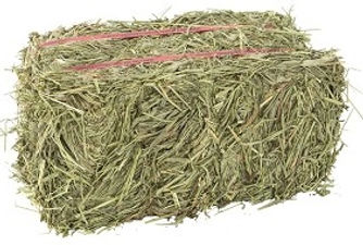 timothy hay.jpg