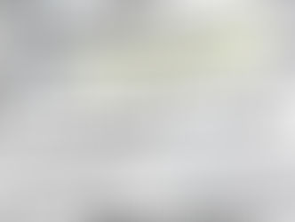 2017 Board Election Results