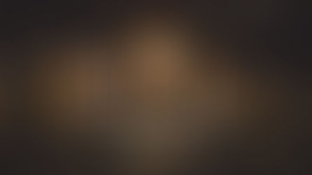 THE FOREST FOR THE TREES/4.2.2023